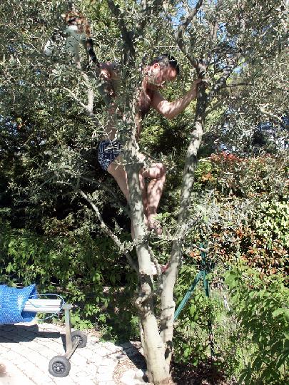 2005-05 004.JPG - DCF 1.0